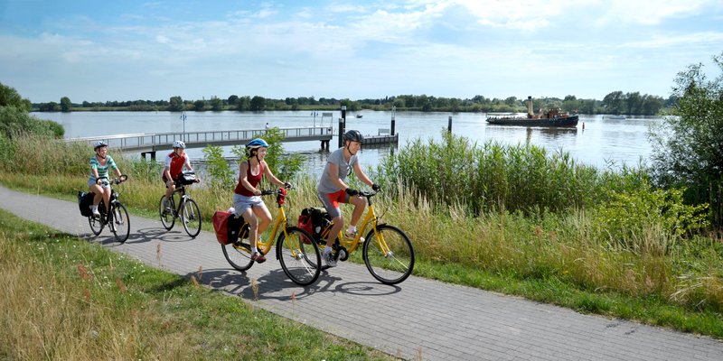 Cyklisté na Labské stezce